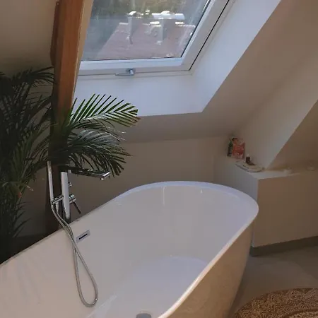 아파트 Helles Modernes City-loft 프로이덴슈타트